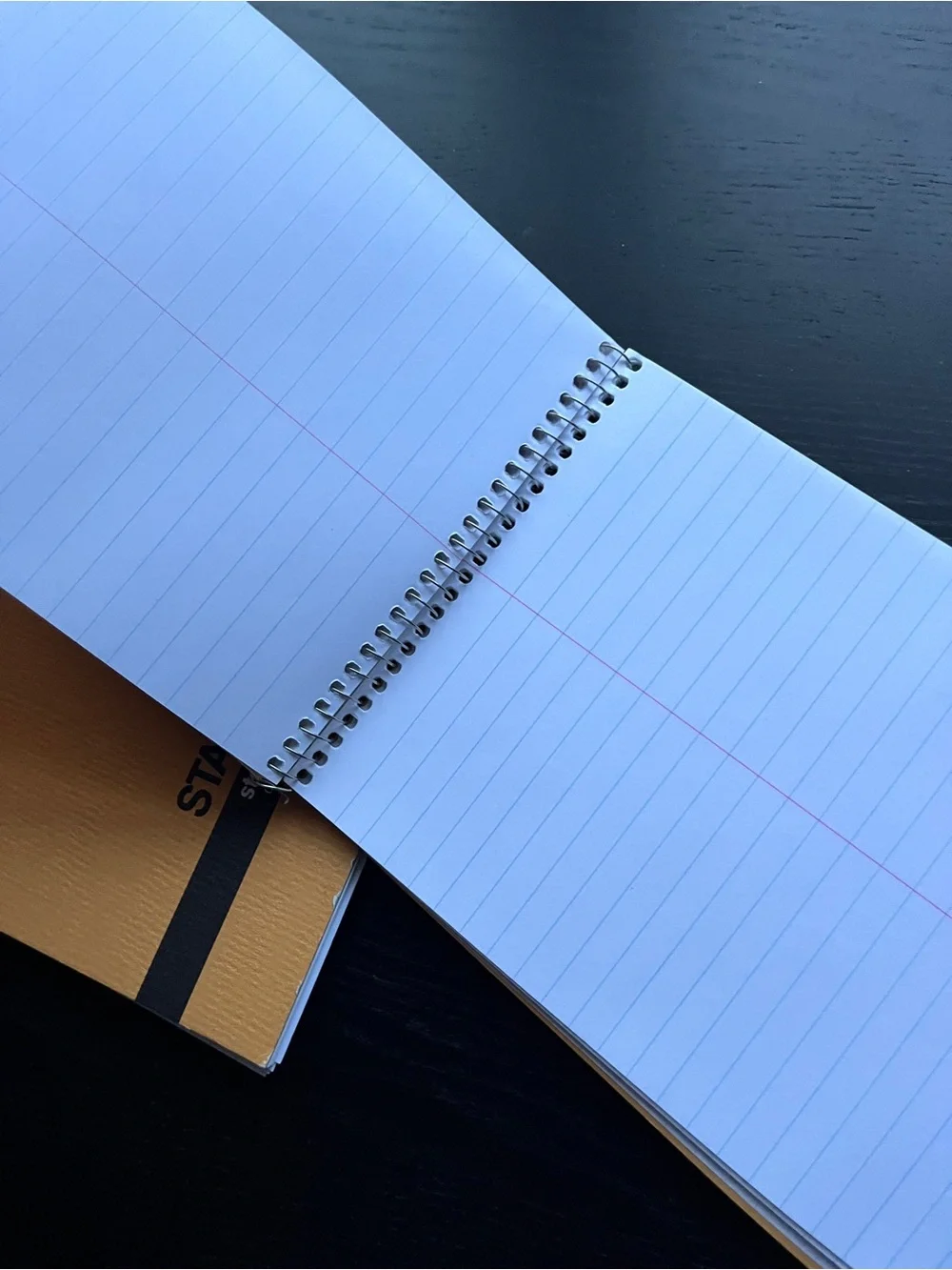 Staples Kraft Steno Book Spiral Memo Pad 6x9 Blue Ruled Gregg Line Notepad 2PK
